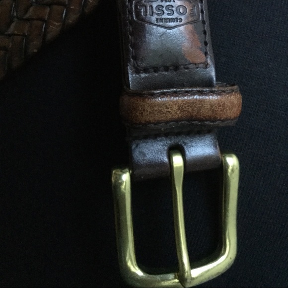 Fossil Belt - Picture 2 of 9